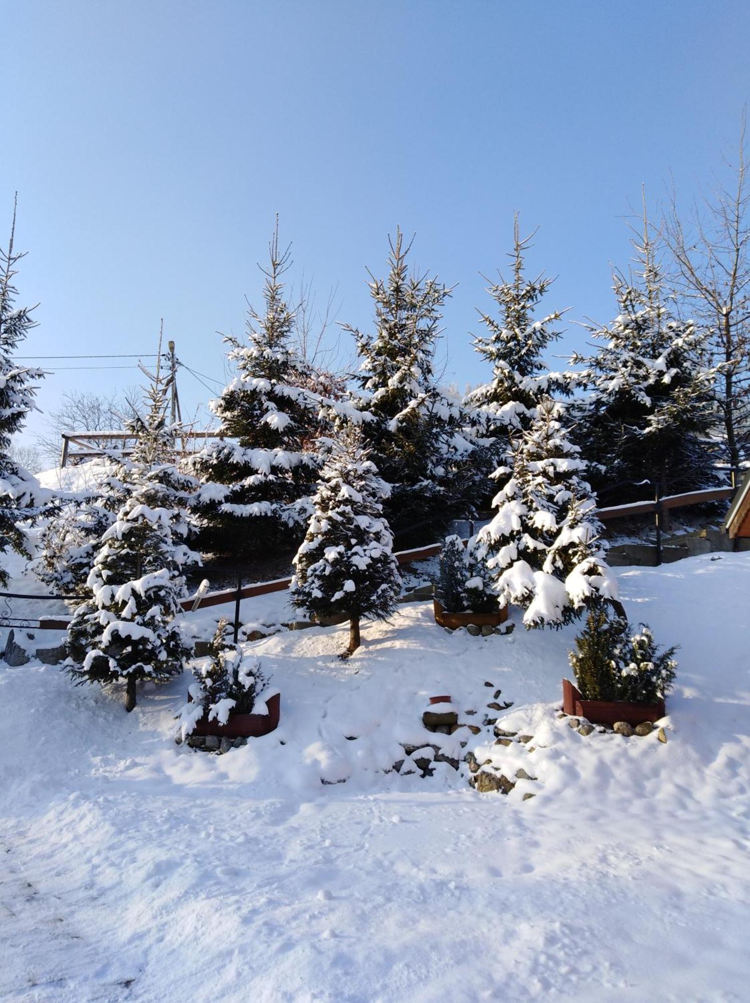 Inksy Domek Harenda Zakopane Exteriör bild