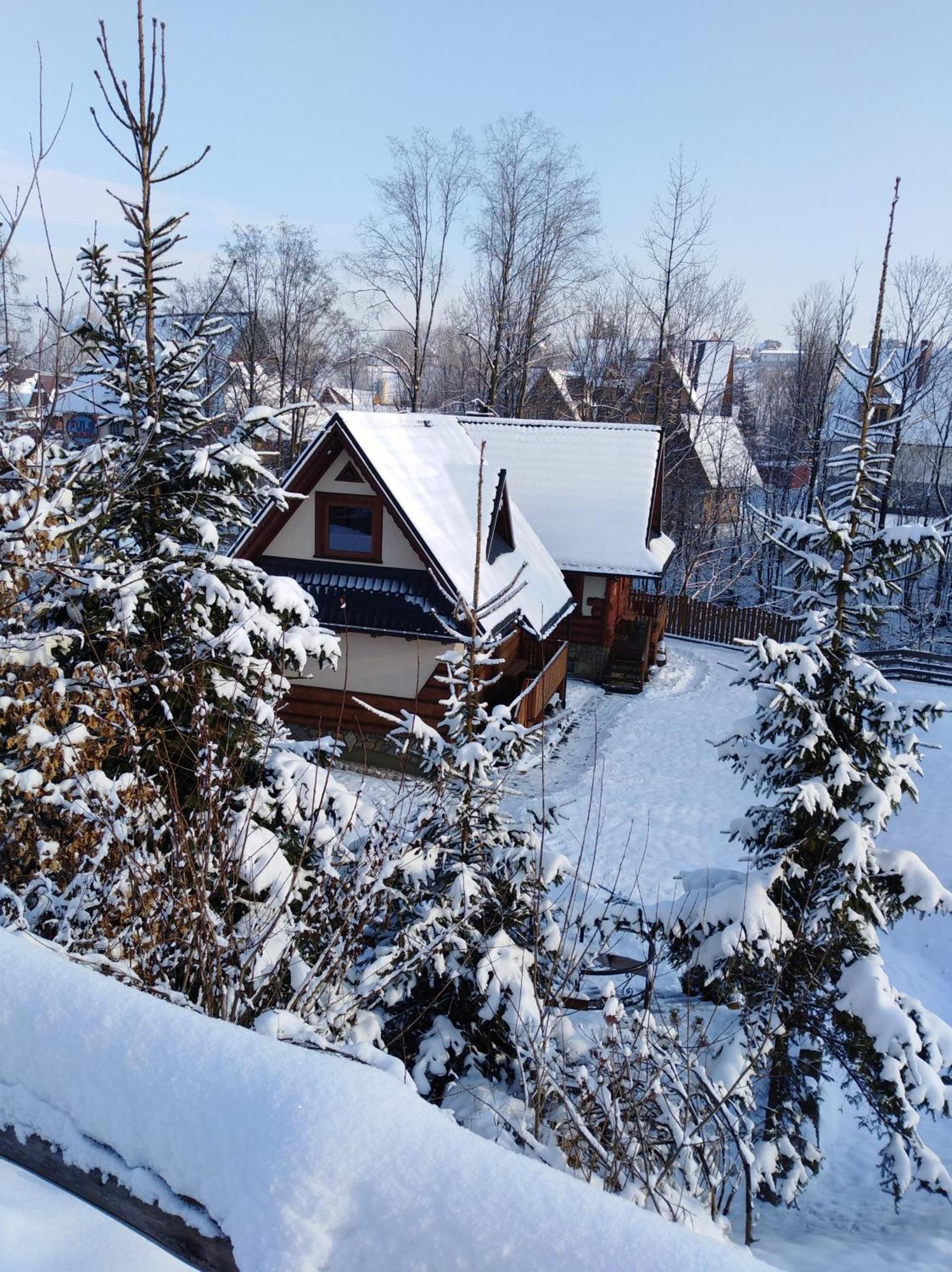Inksy Domek Harenda Zakopane Exteriör bild